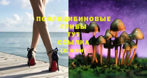 ПСИЛОЦИБИНОВЫЕ ГРИБЫ Алексин