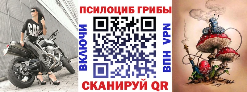 Псилоцибиновые грибы прущие грибы  Данков 